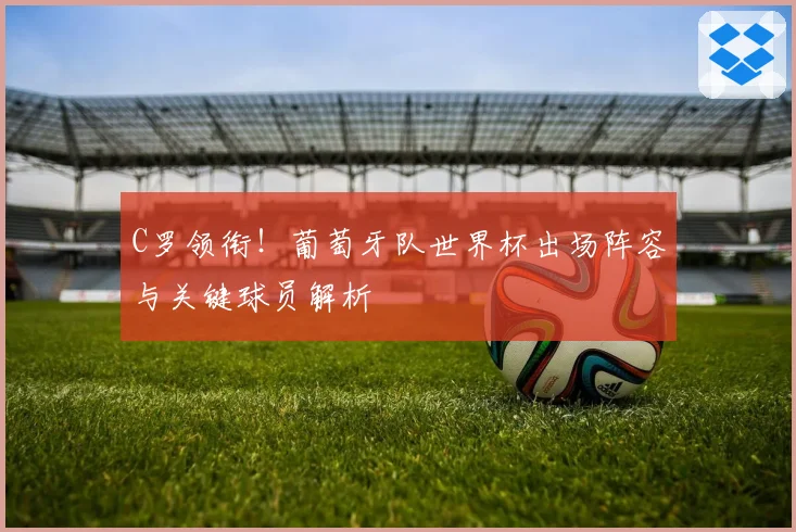 C罗领衔！葡萄牙队世界杯出场阵容与关键球员解析