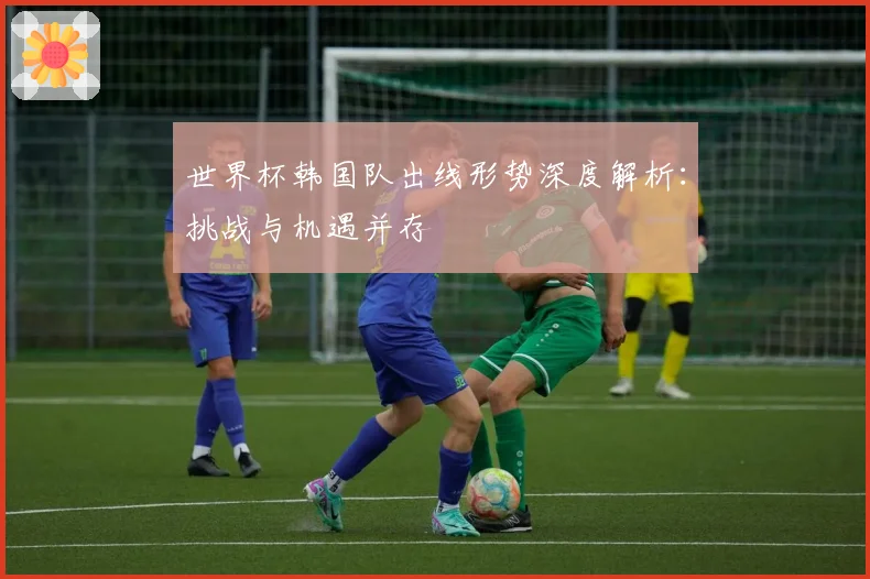 世界杯韩国队出线形势深度解析：挑战与机遇并存